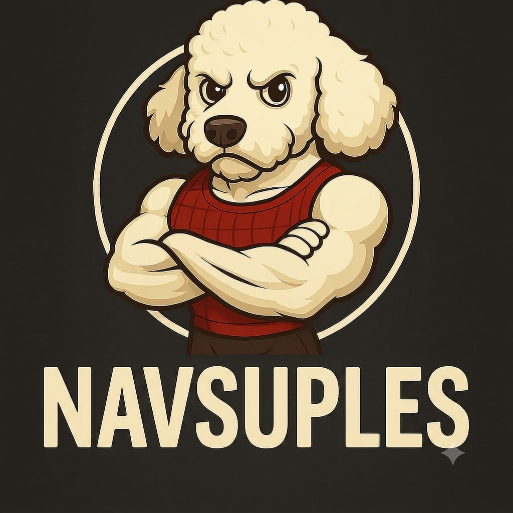 NAVSUPLES